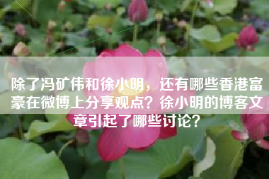 除了冯矿伟和徐小明，还有哪些香港富豪在微博上分享观点？徐小明的博客文章引起了哪些讨论？